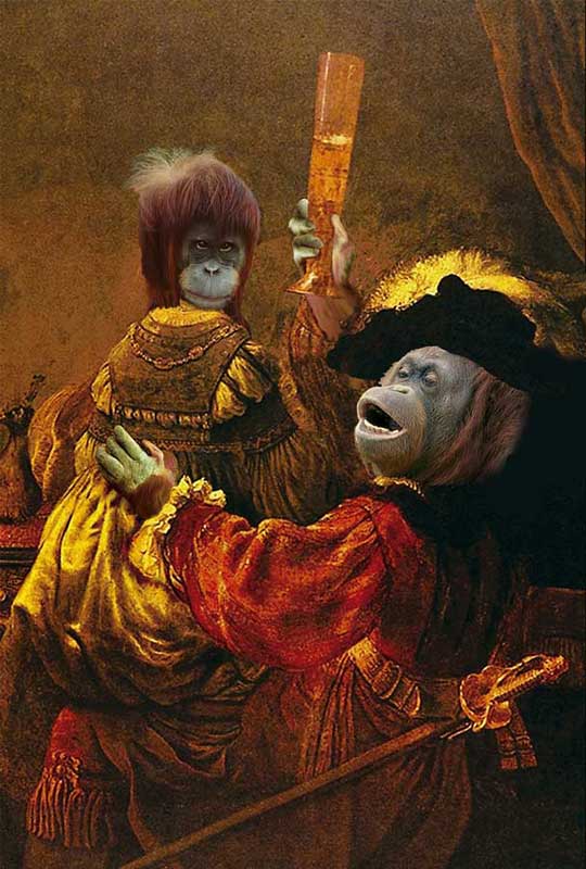 2004 год обезьяны